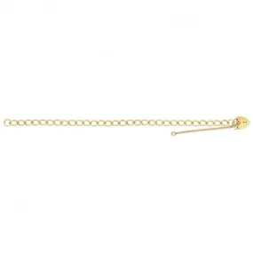 9ct Yellow Gold Ladies Charm Bracelet BR103