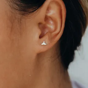 Whale Tail Stud Earrings